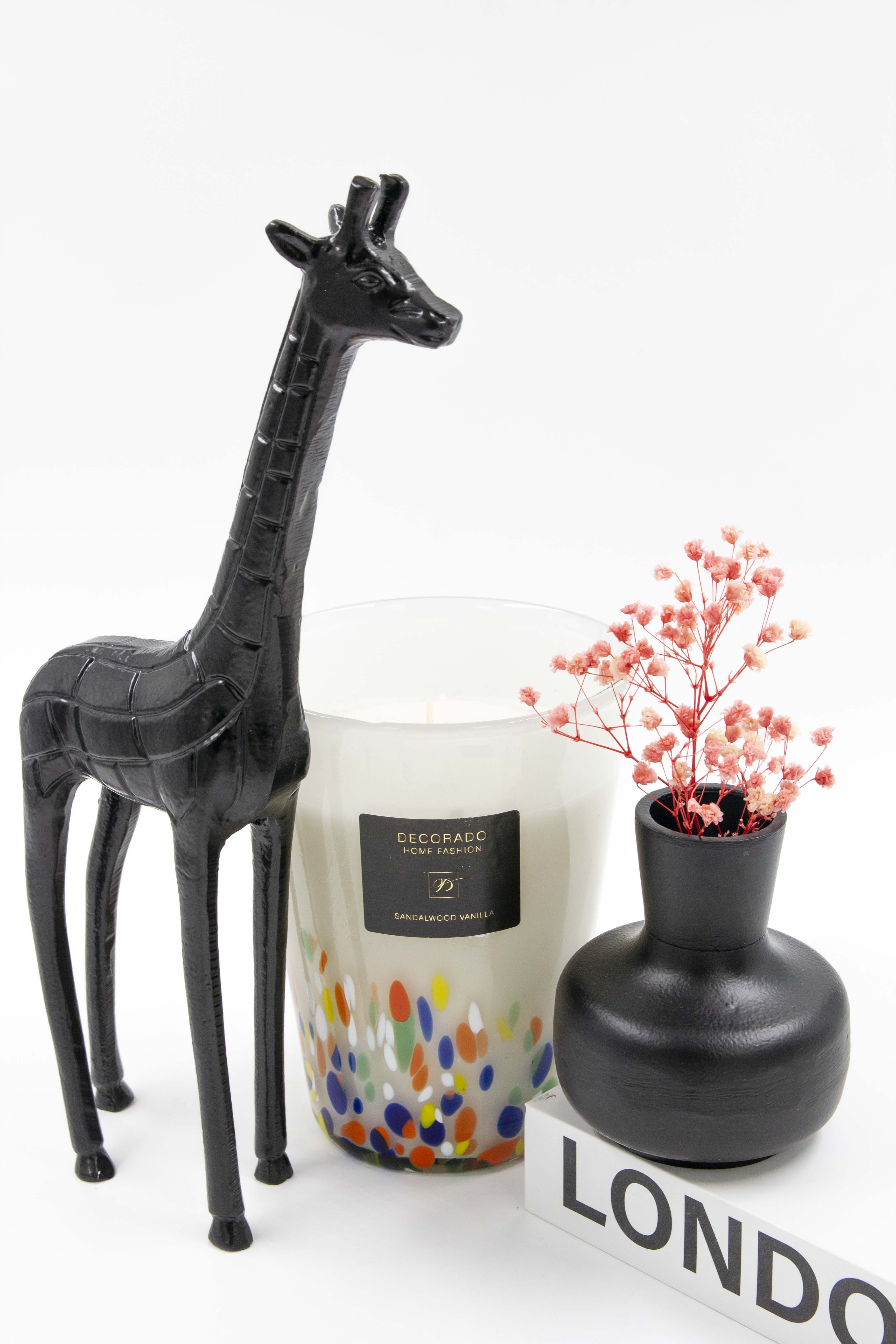 ��� GIRAFF
