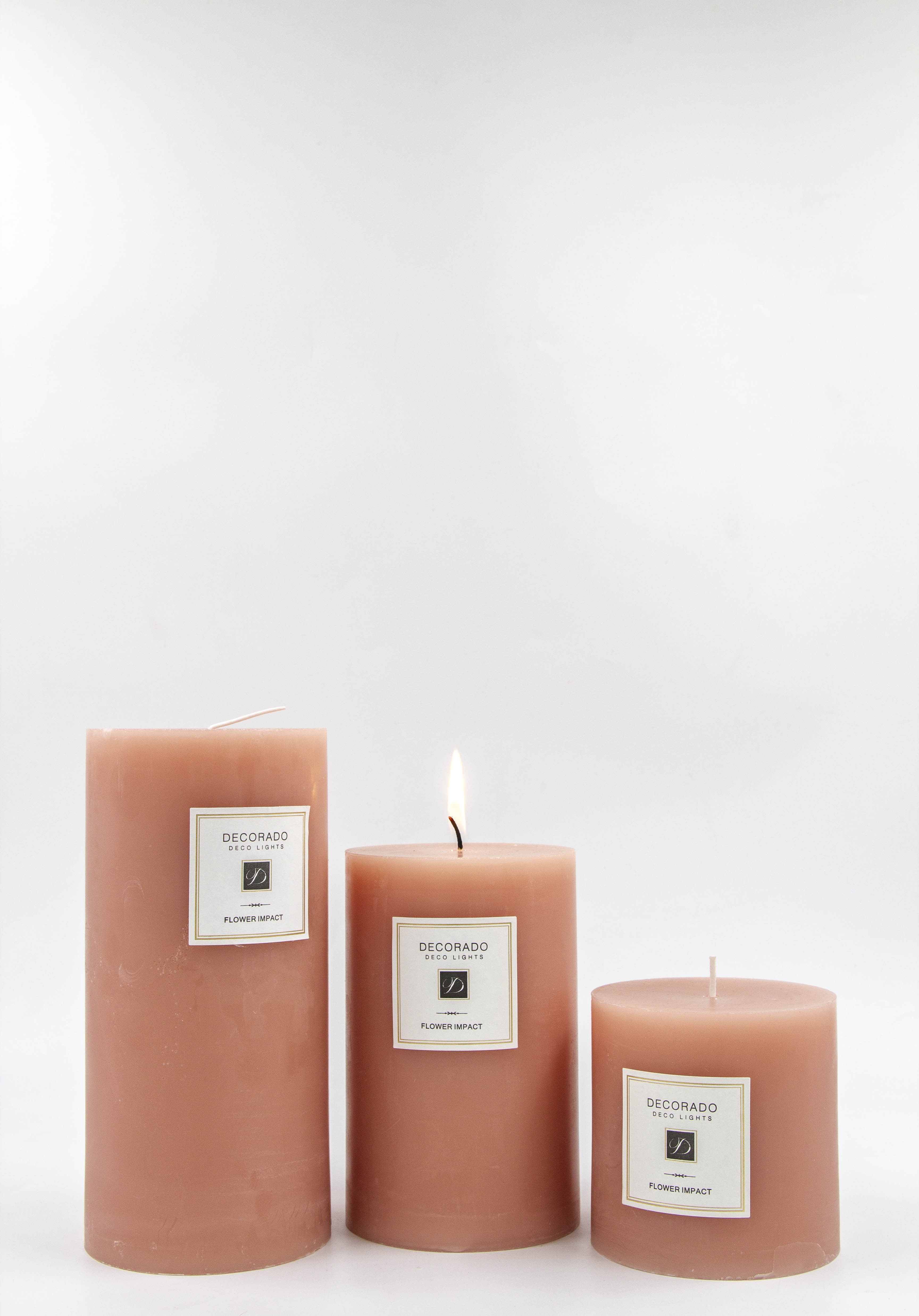 �� ����� FLOWER IMPACT ���� ����� ���� 10