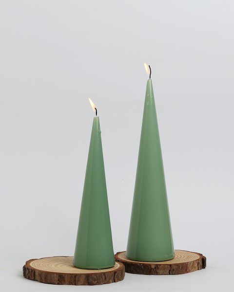 ���� �� ���� CONE ���� ���� 6 ������